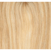 Golden Blonde / streaks